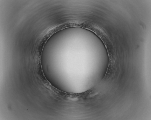 X0000113990773200910161646