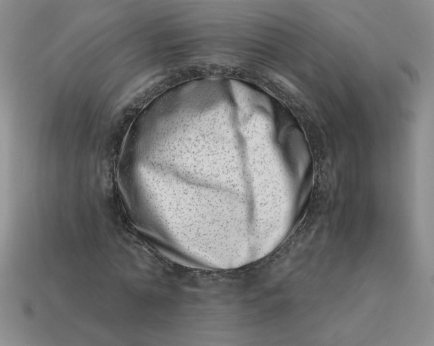 X0000113990774200910161646