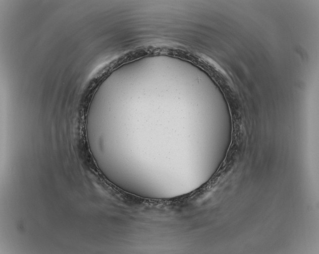 X0000113990775200910161646