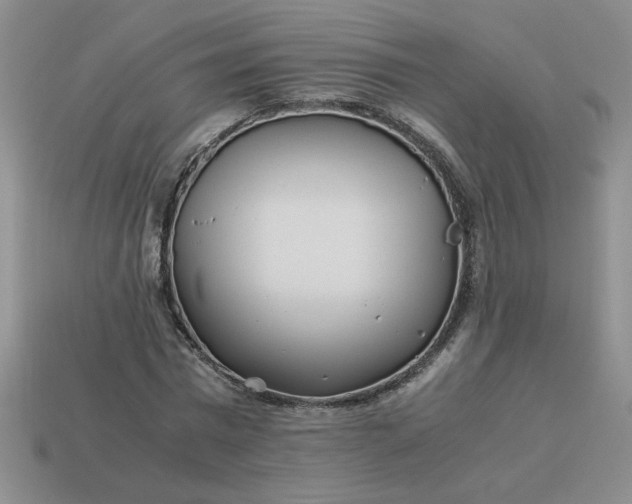 X0000113990777200910161646