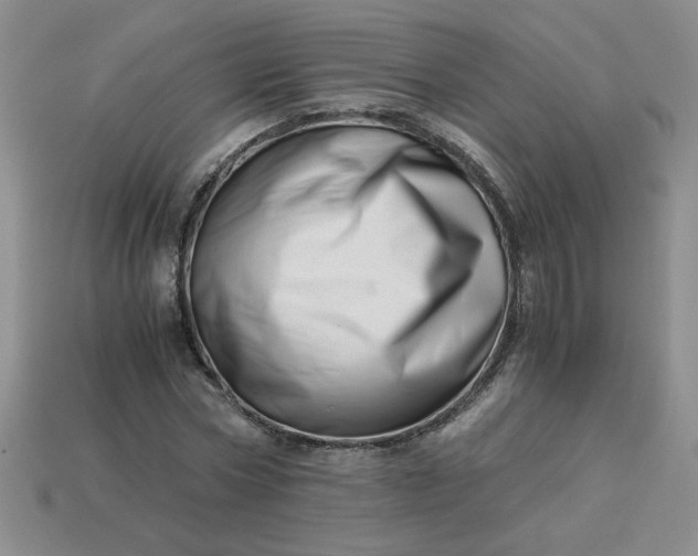 X0000113990778200910161646