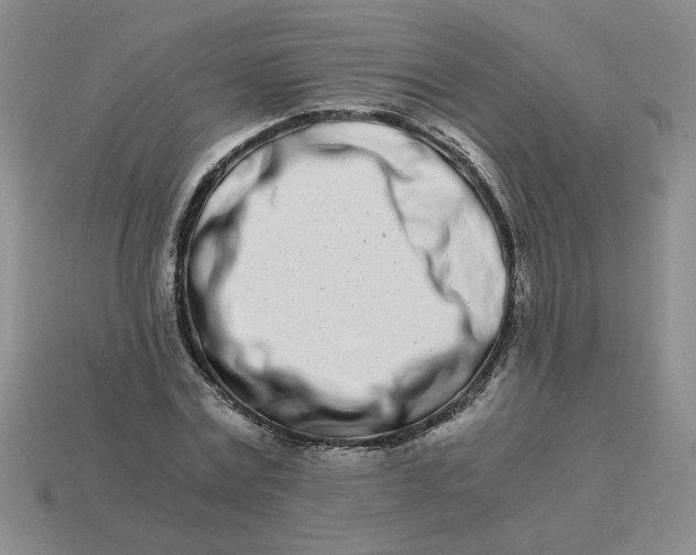 X0000113990779200910161646