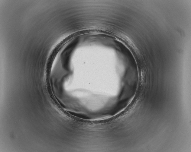 X0000113990780200910161646