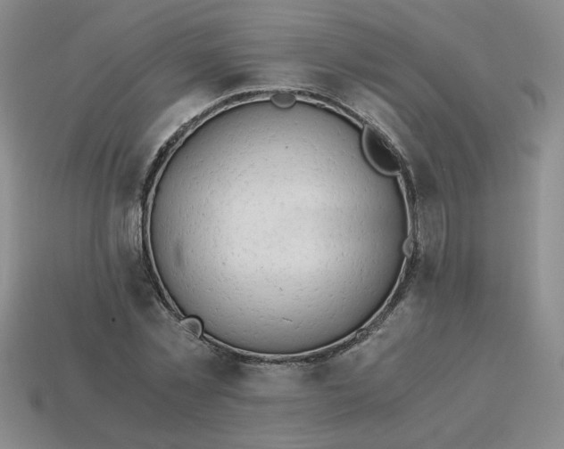 X0000113990781200910161646