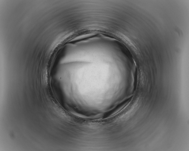 X0000113990782200910161646