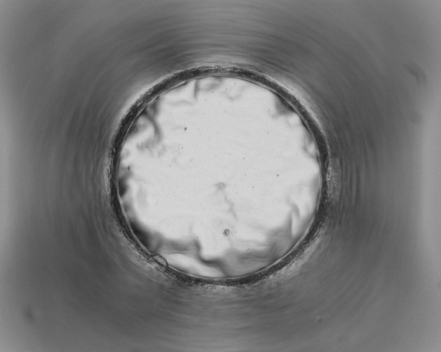 X0000113990783200910161646