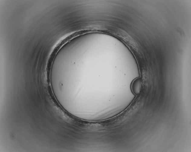 X0000113990784200910161646