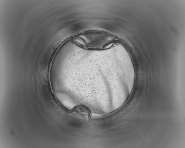 X0000113990785200910161646