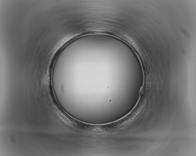 X0000113990787200910161646