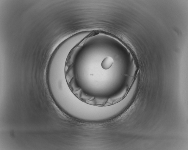 X0000113990789200910161645