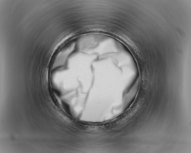 X0000113990790200910161645