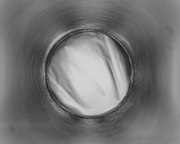 X0000113990792200910161645