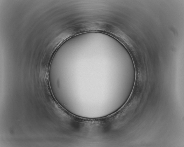 X0000113990793200910161645