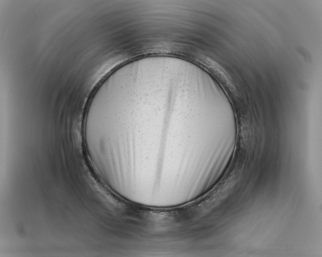 X0000113990794200910161645