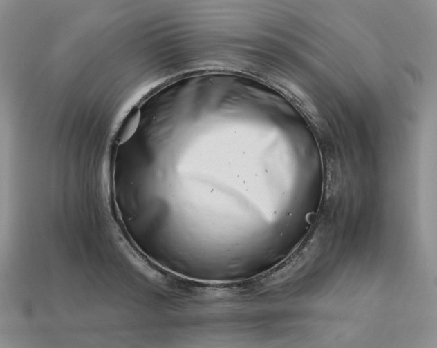 X0000113990796200910161645