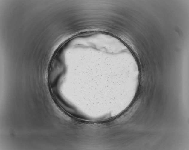 X0000113990797200910161645