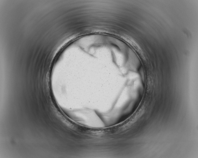 X0000113990798200910161645