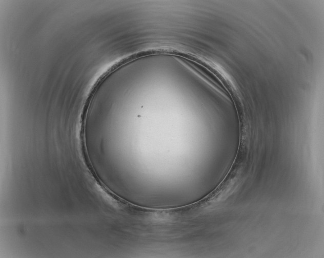 X0000113990799200910161645