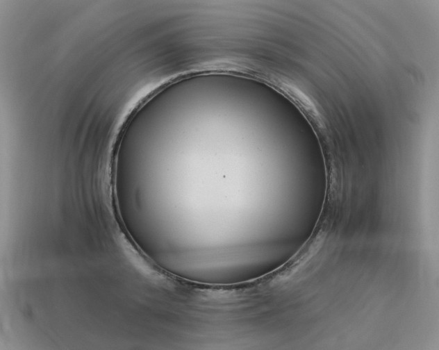 X0000113990800200910161645