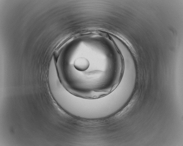 X0000113990801200910161645