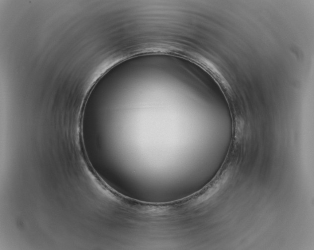 X0000113990802200910161645