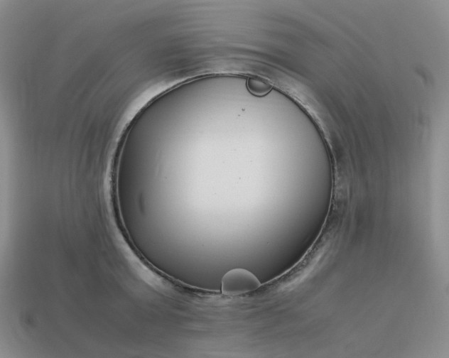 X0000113990803200910161645