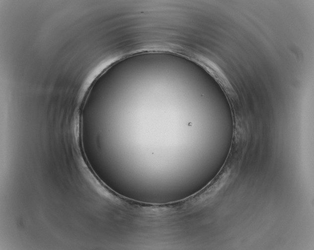 X0000113990804200910161645