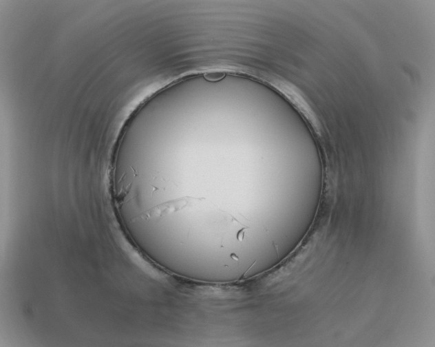 X0000113990805200910161645