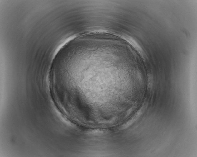 X0000113990806200910161645