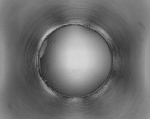 X0000113990808200910161645