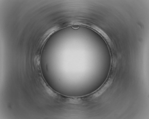 X0000113990809200910161645