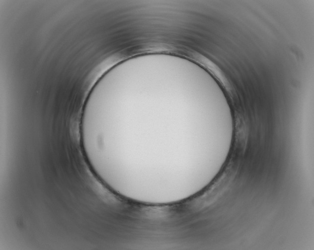 X0000113990810200910161645