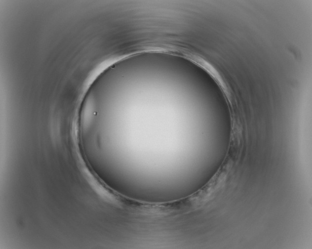 X0000113990811200910161645