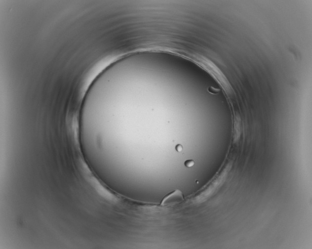 X0000113990812200910161645