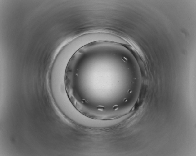 X0000113990813200910161645