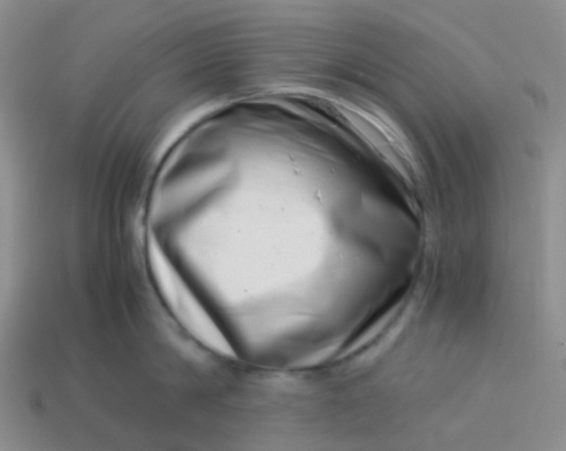 X0000113990814200910161645