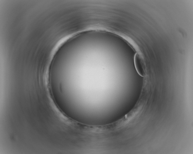 X0000113990815200910161645