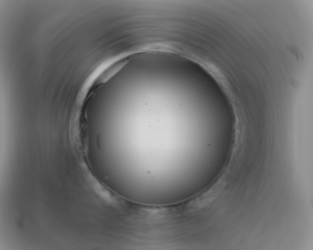 X0000113990816200910161645