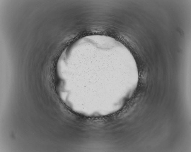 X0000113990817200910161644