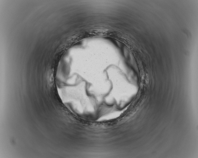 X0000113990818200910161644