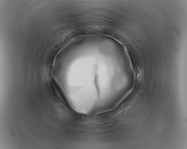 X0000113990819200910161644