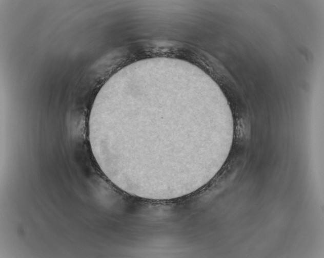 X0000113990820200910161644