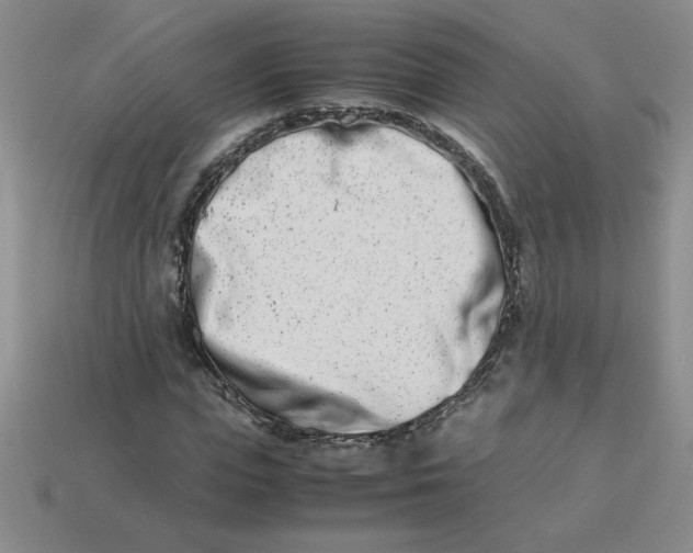 X0000113990823200910161644