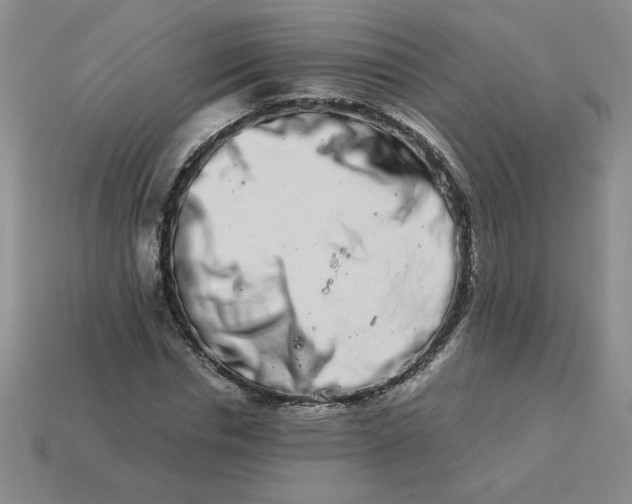 X0000113990826200910161645