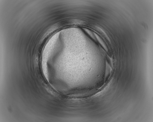 X0000113990827200910161645