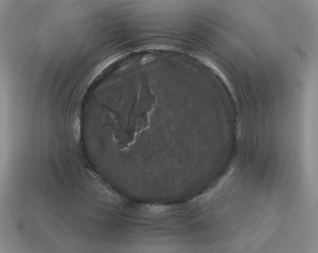 X0000113990829200910161645