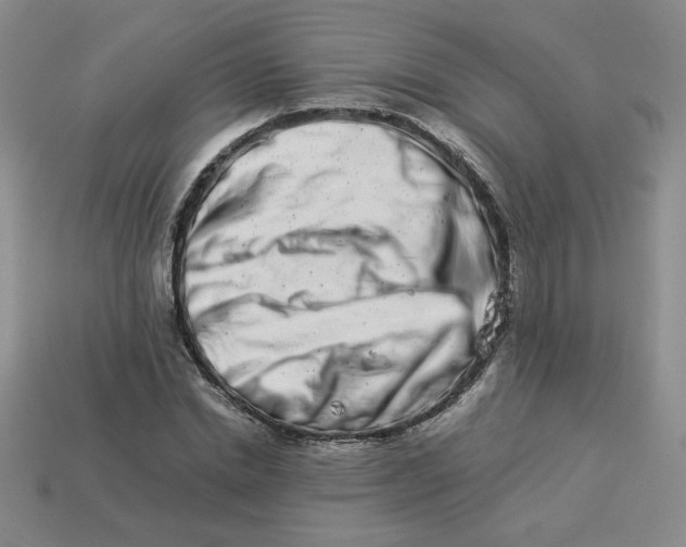 X0000113990830200910161645