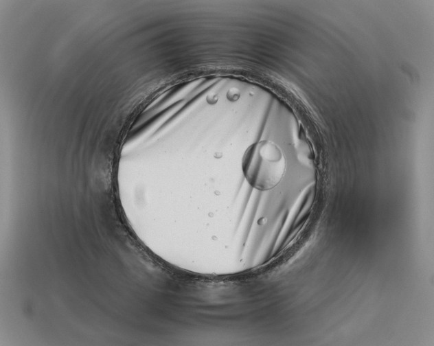 X0000113990833200910161645