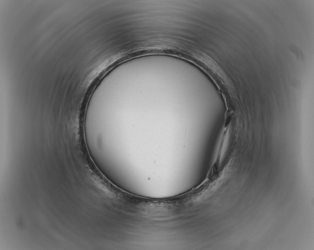 X0000113990834200910161645