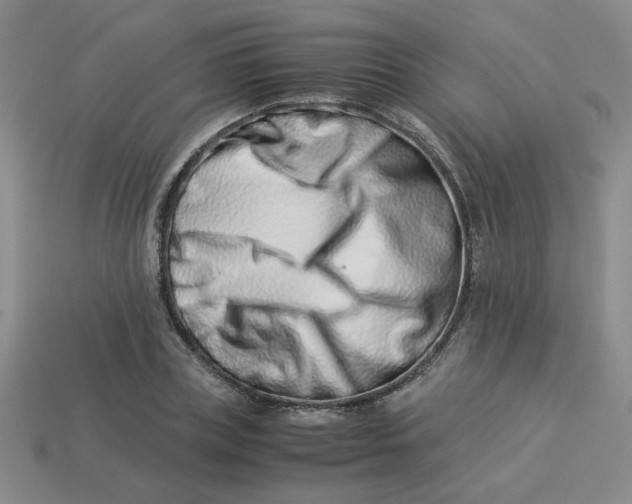 X0000113990835200910161645